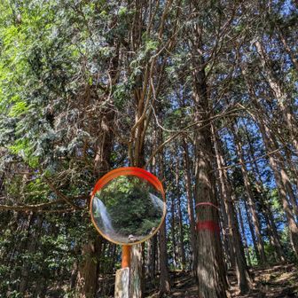 こんな標高でカーブミラー🪞実は林道。