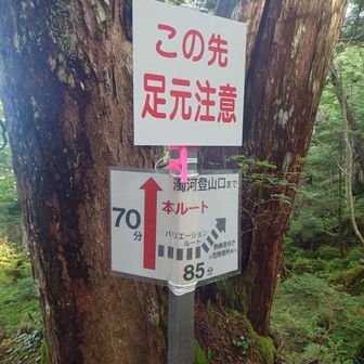 湯の華峠で合流