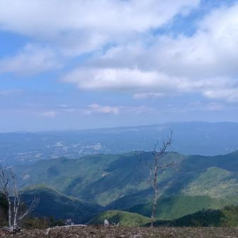 切剥直下の広場。天伯も出来るし昼下がりの午睡もたのしい。