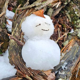 今回は、少し 時間に、余裕が有ったので！
作りました～　⛄　🤗
