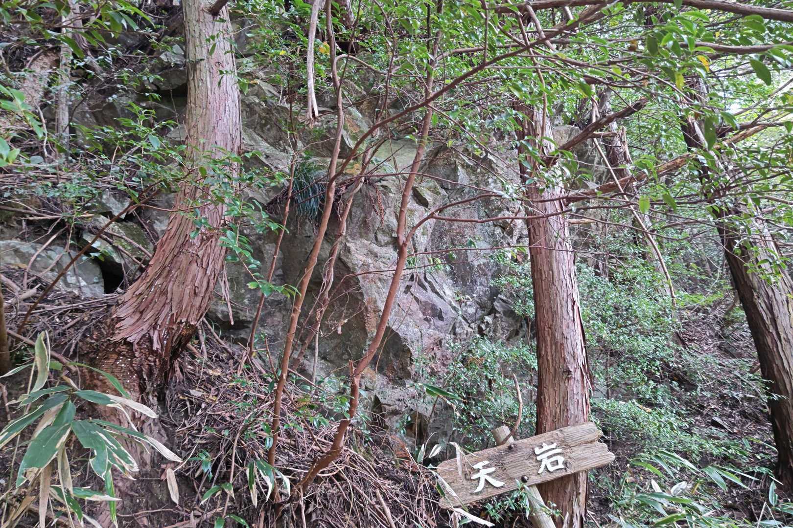 五輪山 往復コースの写真