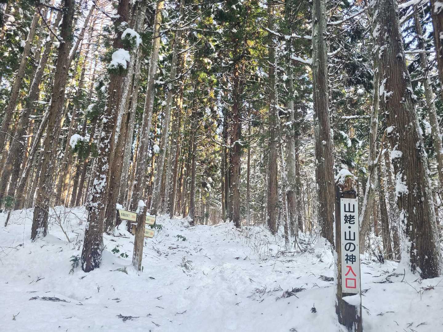 水晶山神社-水晶山 往復コースの写真