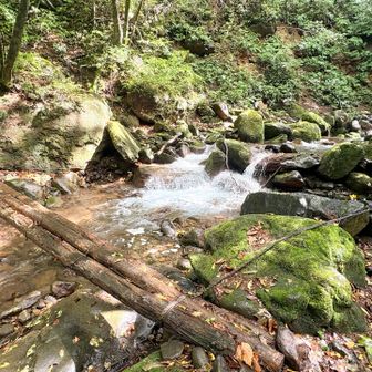 僧悟台ルートに入ってからにわか雨。丸太の橋が滑りそう