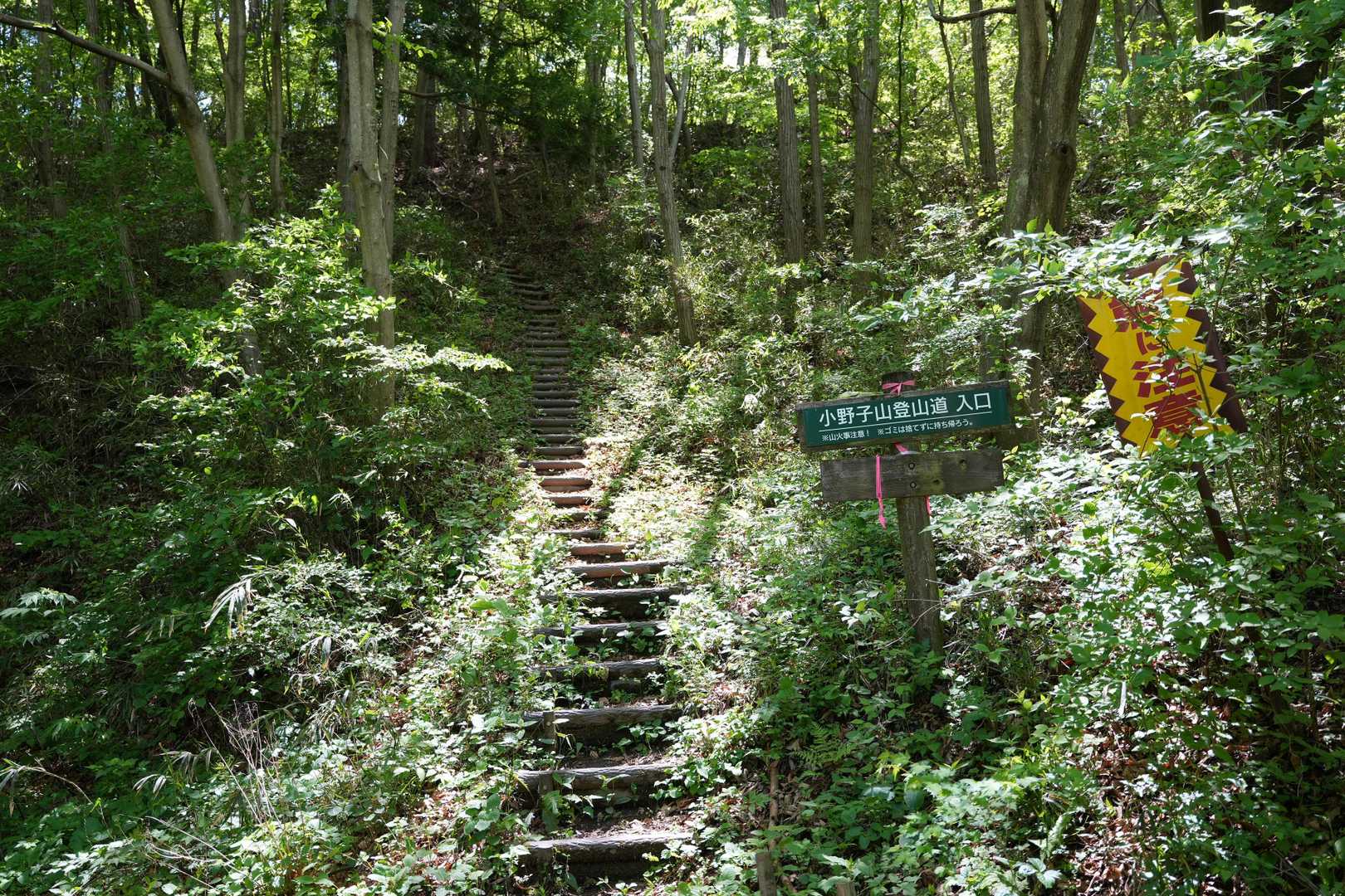 雨乞山-小野子山-中ノ岳-十二ヶ岳 往復コースの写真
