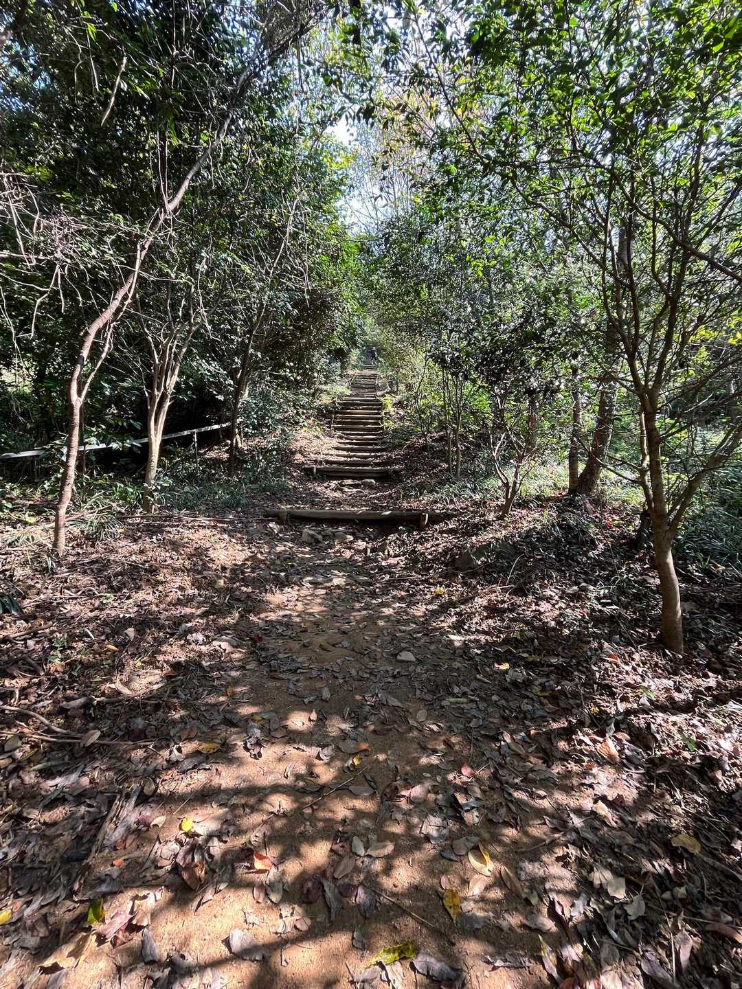 鏡山往復 | 唐津の美しい海を一望。登山口近くには「鏡山温泉」もの写真