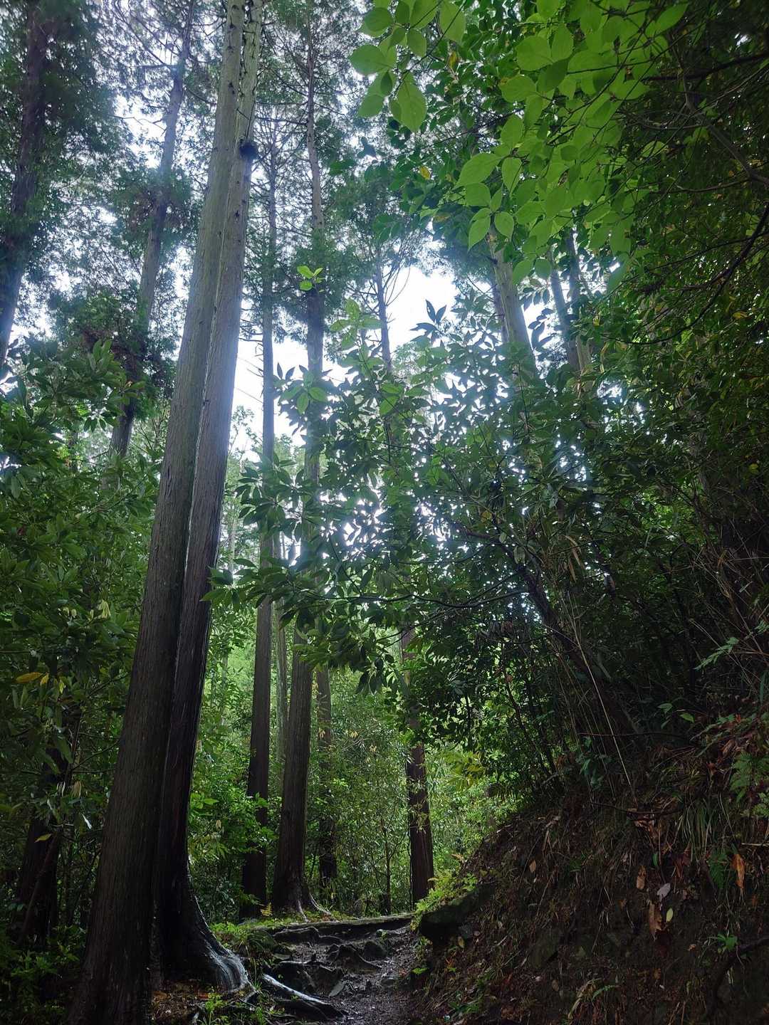 でも空気は澄んでて✨️涼しい風が背中押してくれます💪頑張れ私！