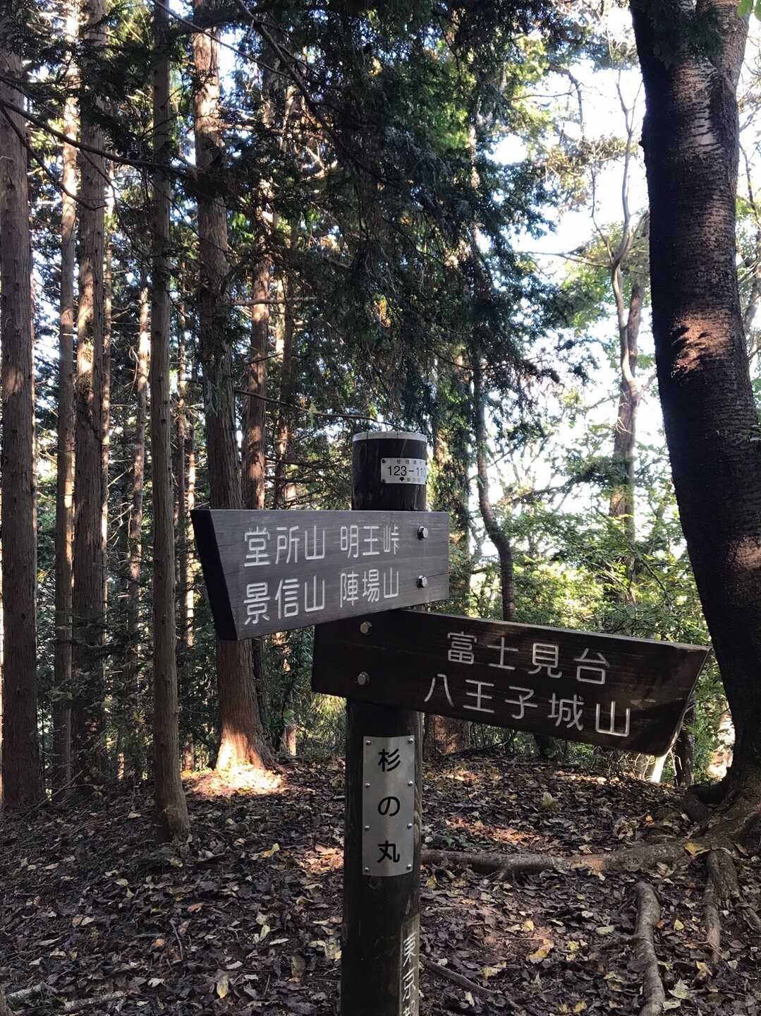 杉ノ丸の写真