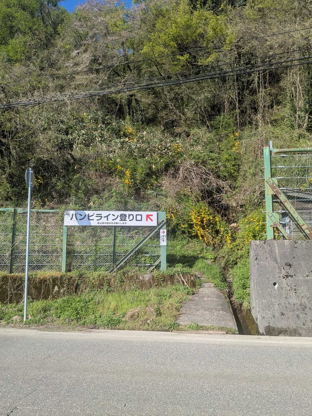 初のバンビライン👍