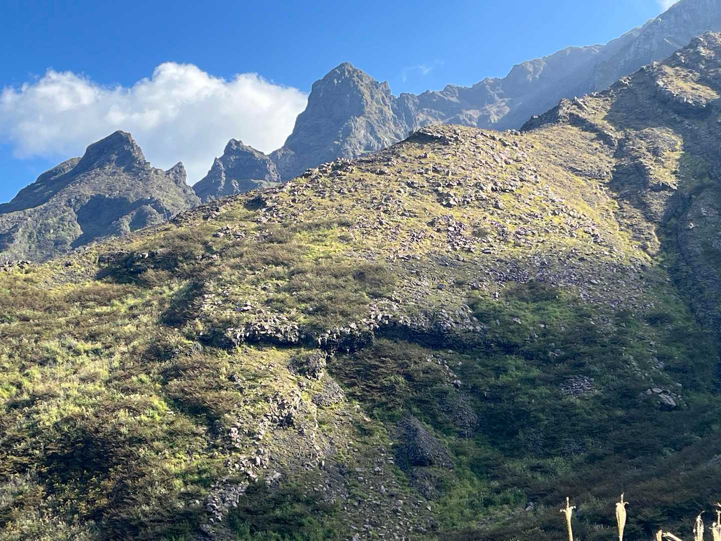 手前の阿蘇高岳への通称バカ尾根⛰️には、鷲が峰を向いた遭難碑が沢山あります！
先輩から、日本一危ないのが、鷲が峰だと😵
いつ来ても、手を合わせます！🙏