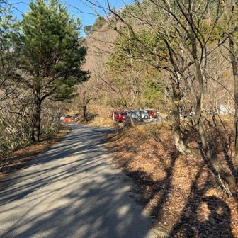 今日は多くのハイカーさんとすれ違いました