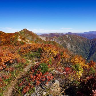 障子ヶ岳
奥に月山