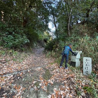 登山口に到着🙌