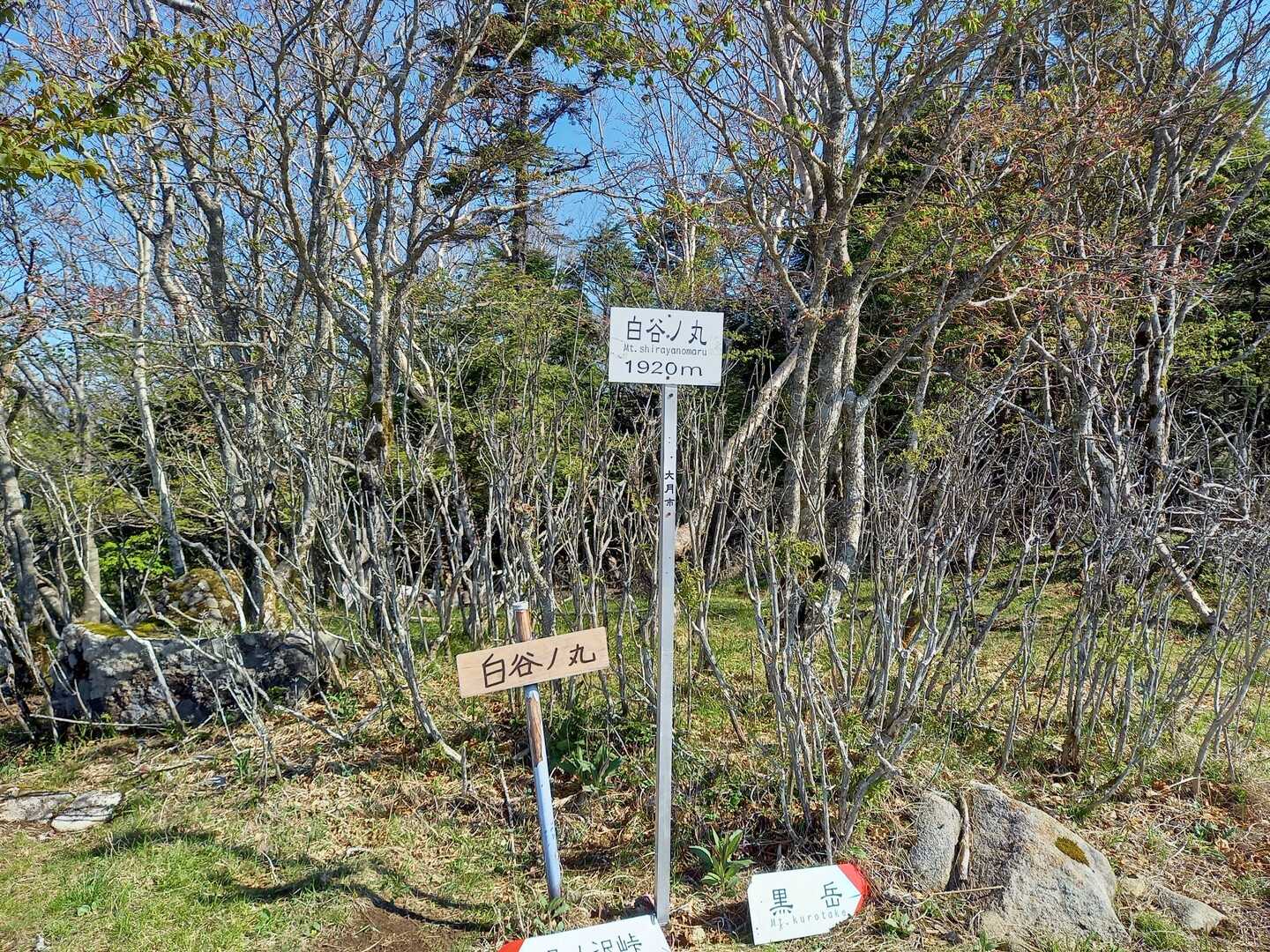 白谷ノ丸の写真