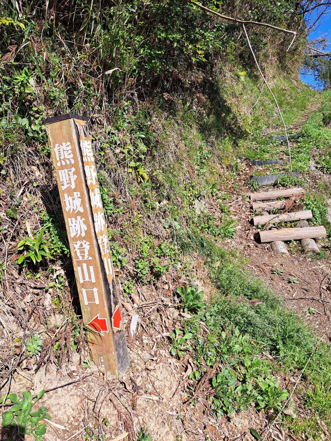 登り口