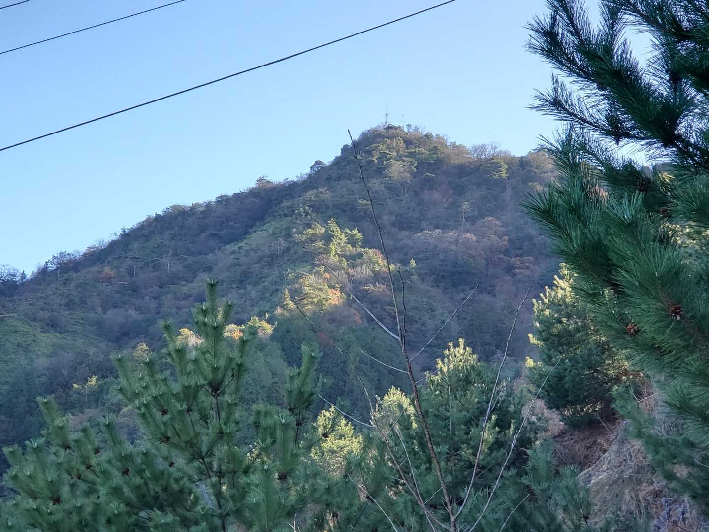 あそこの天辺目指して