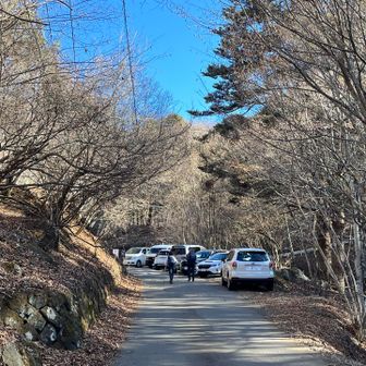 バス停に到着
降りたのは私含めて4人だけ