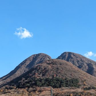 南極のペンギン