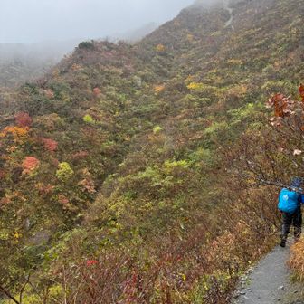上宝珠からの紅葉