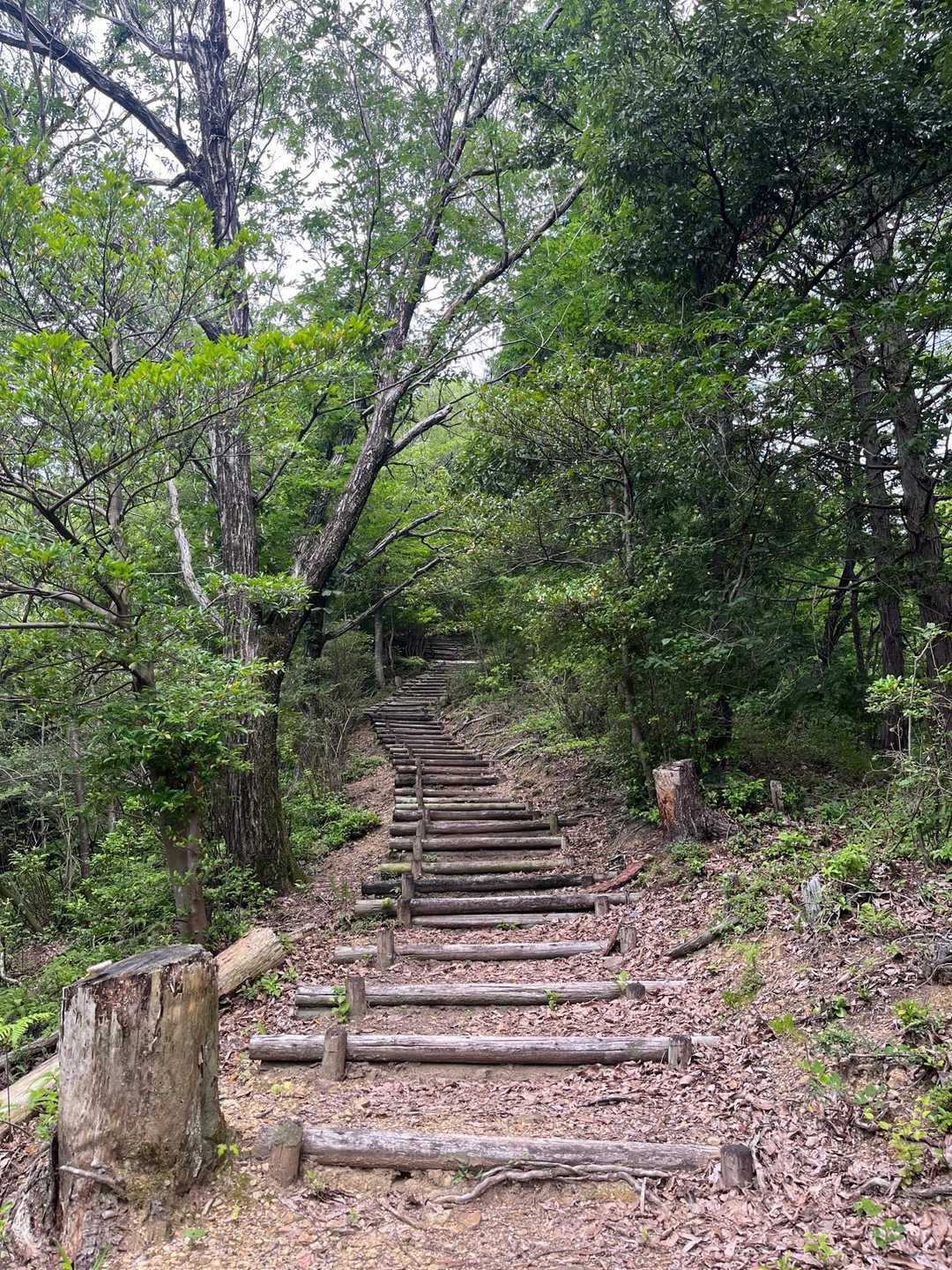 文殊山 往復コースの写真