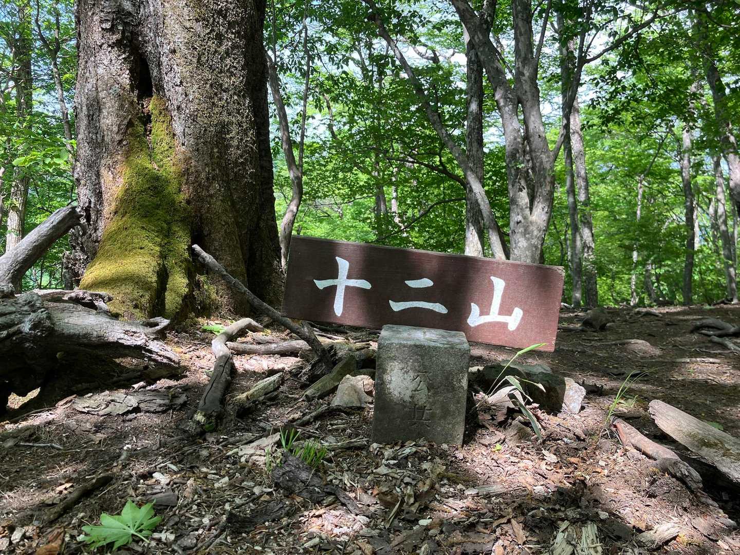 宝生山-氷室山-十二山-熊鷹山 縦走コースの写真