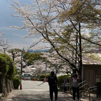 五月山動物園まで降りてきました