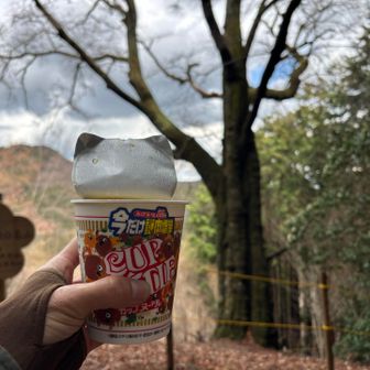 花のないサクラ眺めながら遅めのお昼。