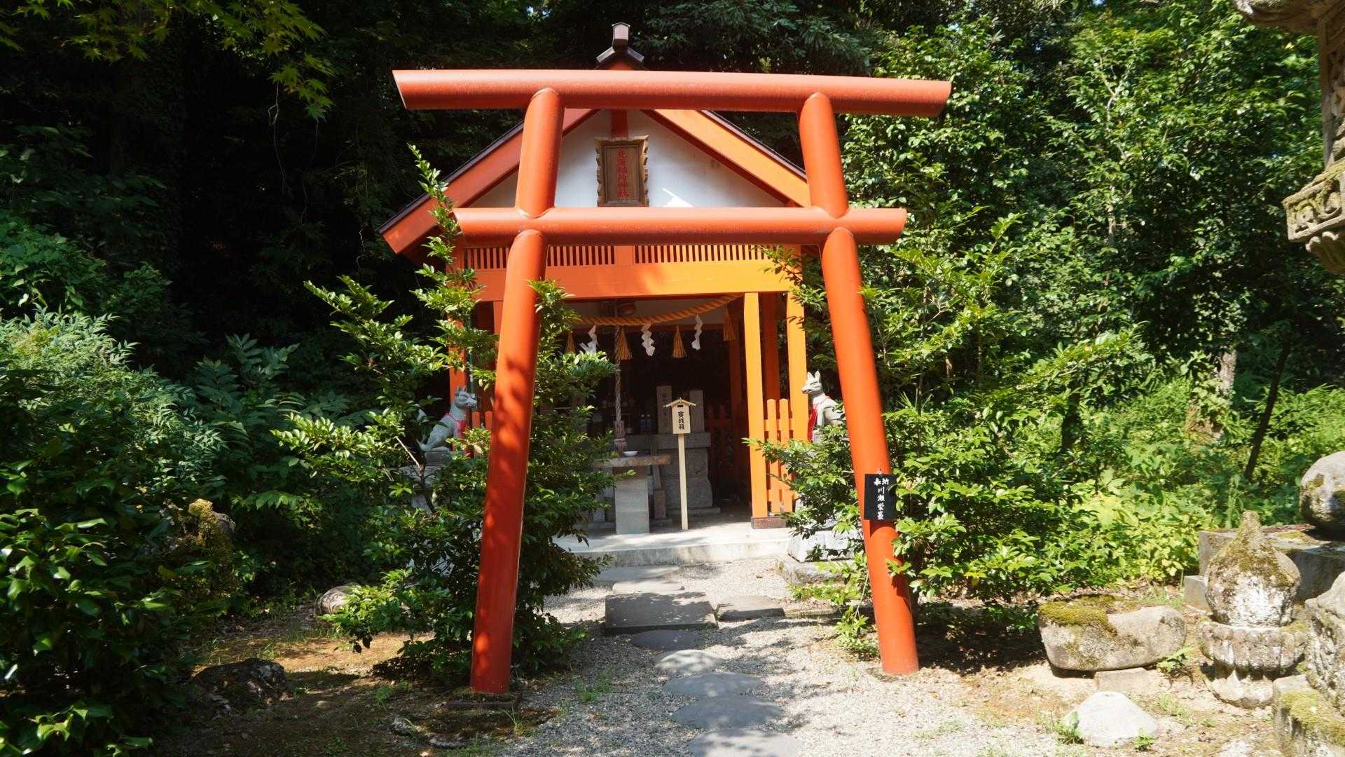 春日山 往復コースの写真