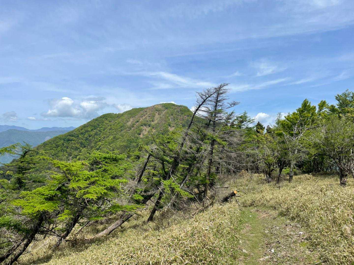 あれが十枚山ですねー
まだまだです😅