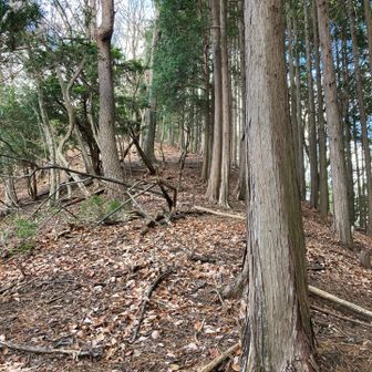 もうちょ🎶いうんしょ🎶(*´ `)♡