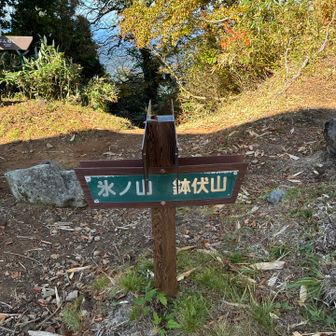分岐に着きました！