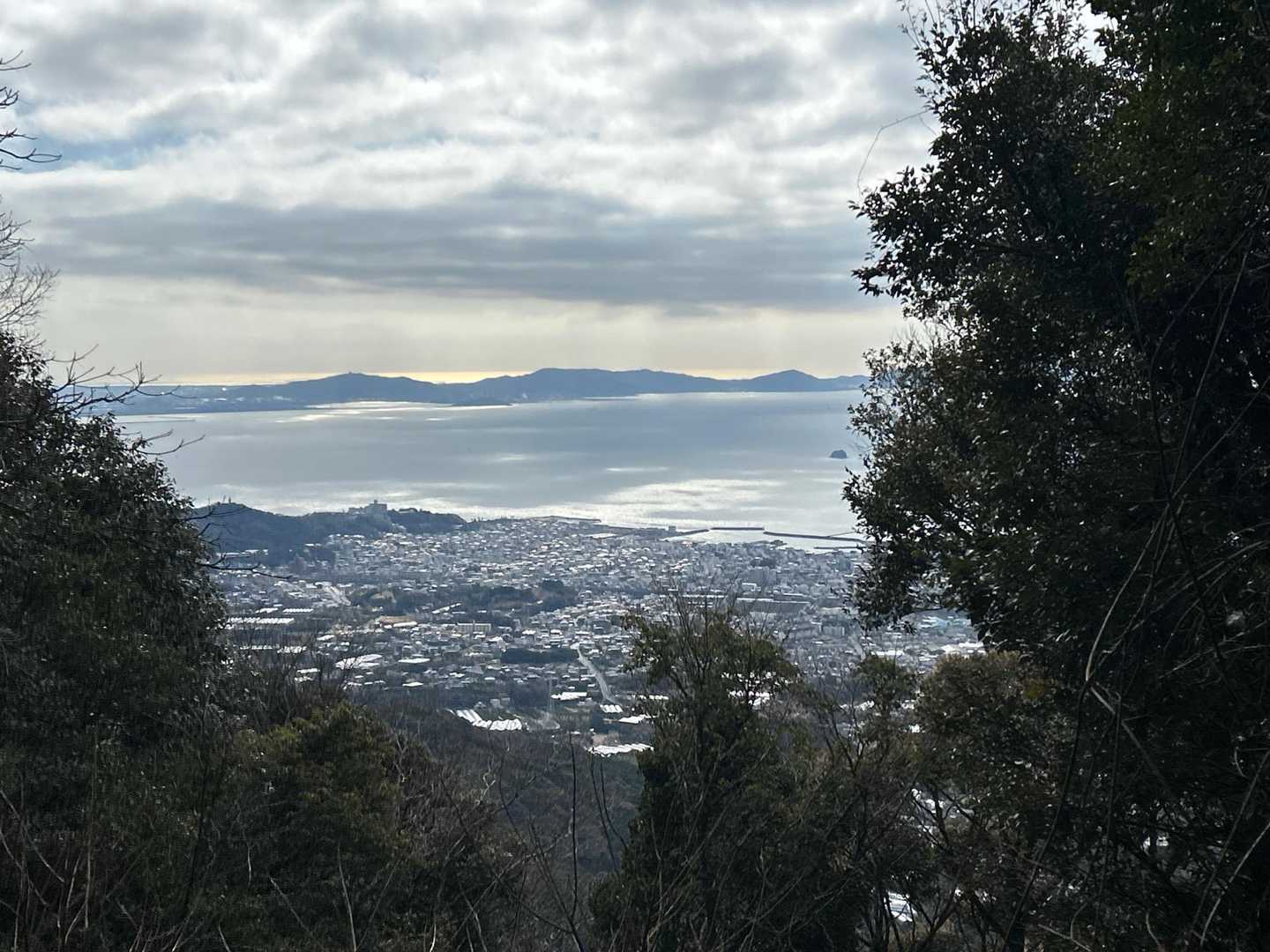 五井山 往復コースの写真