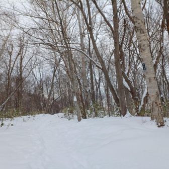 山鼻山(藻岩山5合目)