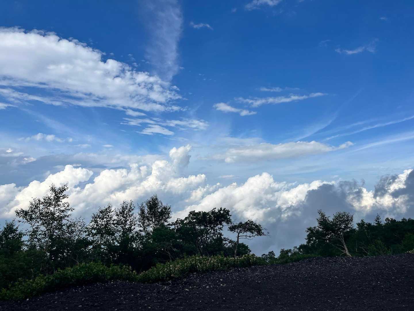 天気予報は晴れで、かつてんくらAだったのでこの時点では雨に当たると予測してなかったのですがね
刻々と変わる予報をよく見ないとダメですね