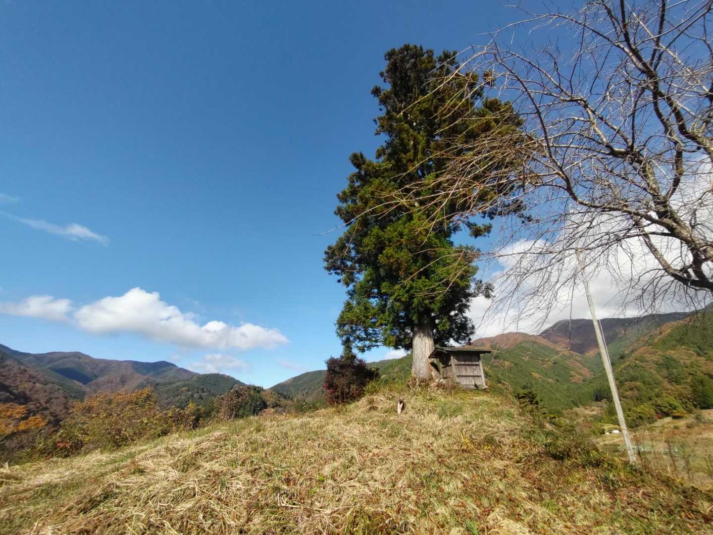 山頂全体‼️
ありがとう丸山👍