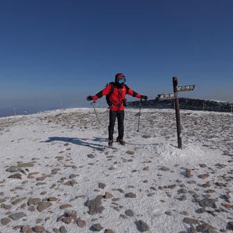 飛ぶ友人🪽
でも飛んでいない😵