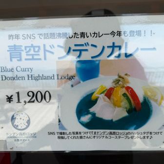 すごい色してますがせっかくなら食してみてもよかったですね🟦