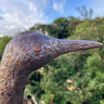 ま『ねぇ鶴ティンってさ〜目が横についてるじゃん､東も見えてるの？』
🐦「正面までギリ見えるよ」