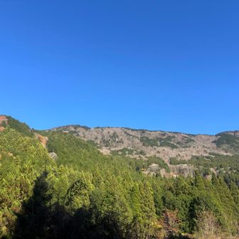 歩いた稜線
いい
山行でした

おつかれ
やまです(^^)v