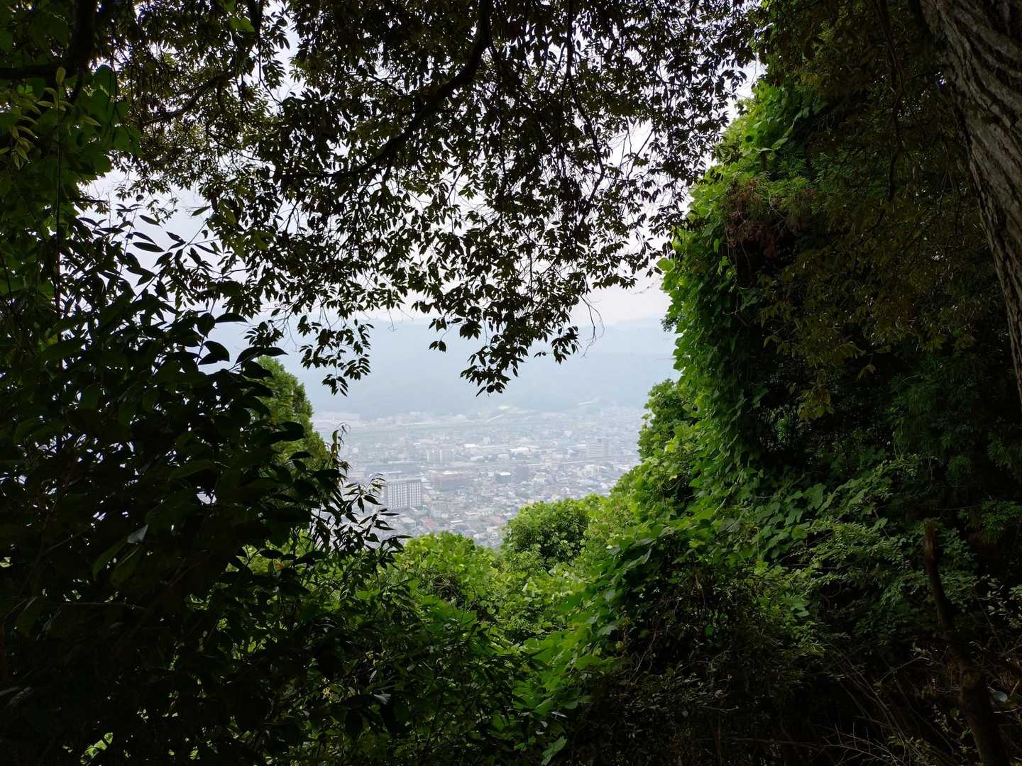 愛宕山登り口-愛宕神社-愛宕山 往復コースの写真