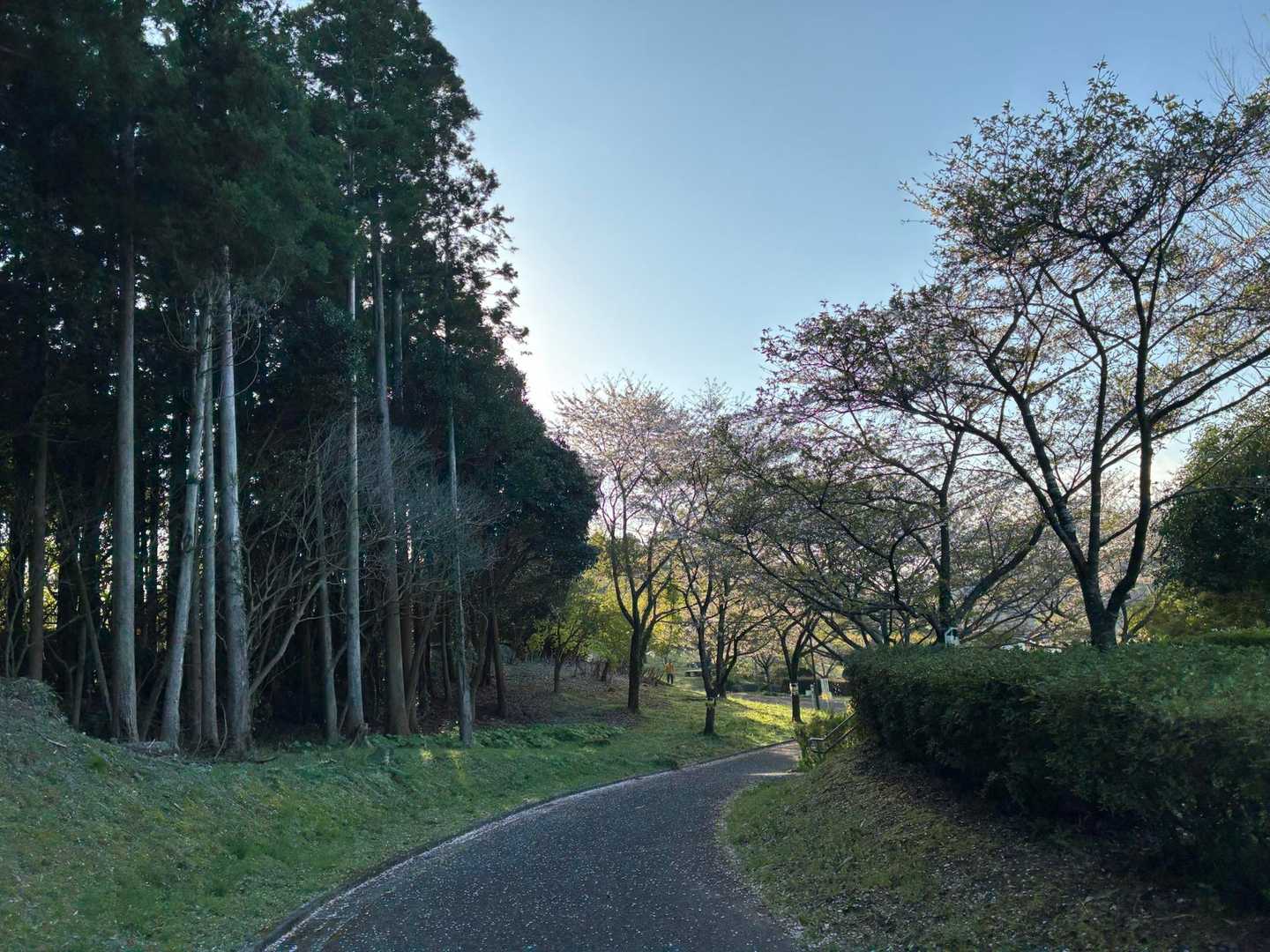 あとちょっと✨ギリギリ間に合いそう🙌🏻
パイセンと兄さんがあんまり遅いんで気にして逆走して見に来てくれた🤩
なんだこの人達は…‼︎マジで優し過ぎる…😭
お姿見て泣きそうになりました泣
しゅん😞となった心を何度復活させてくださったことか…✨
おかげで無事リベンジ達成出来ました♡
お声かけ沁みました✨感謝です✨