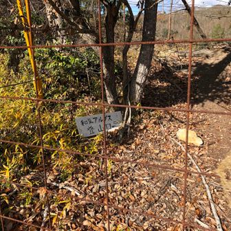 それじゃあ、レッツラ・ゴーです😁😗