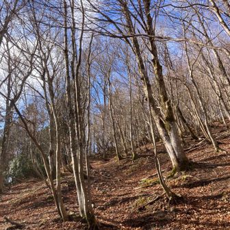 葉が落ちると景色も違って見えます。