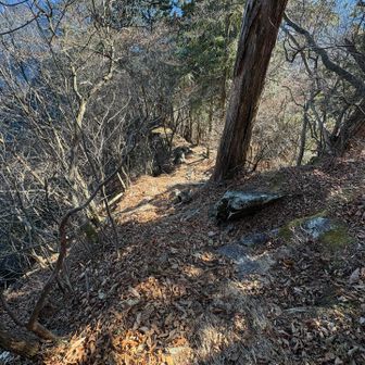 急坂です
後ろ向きで下りる所が多かったです