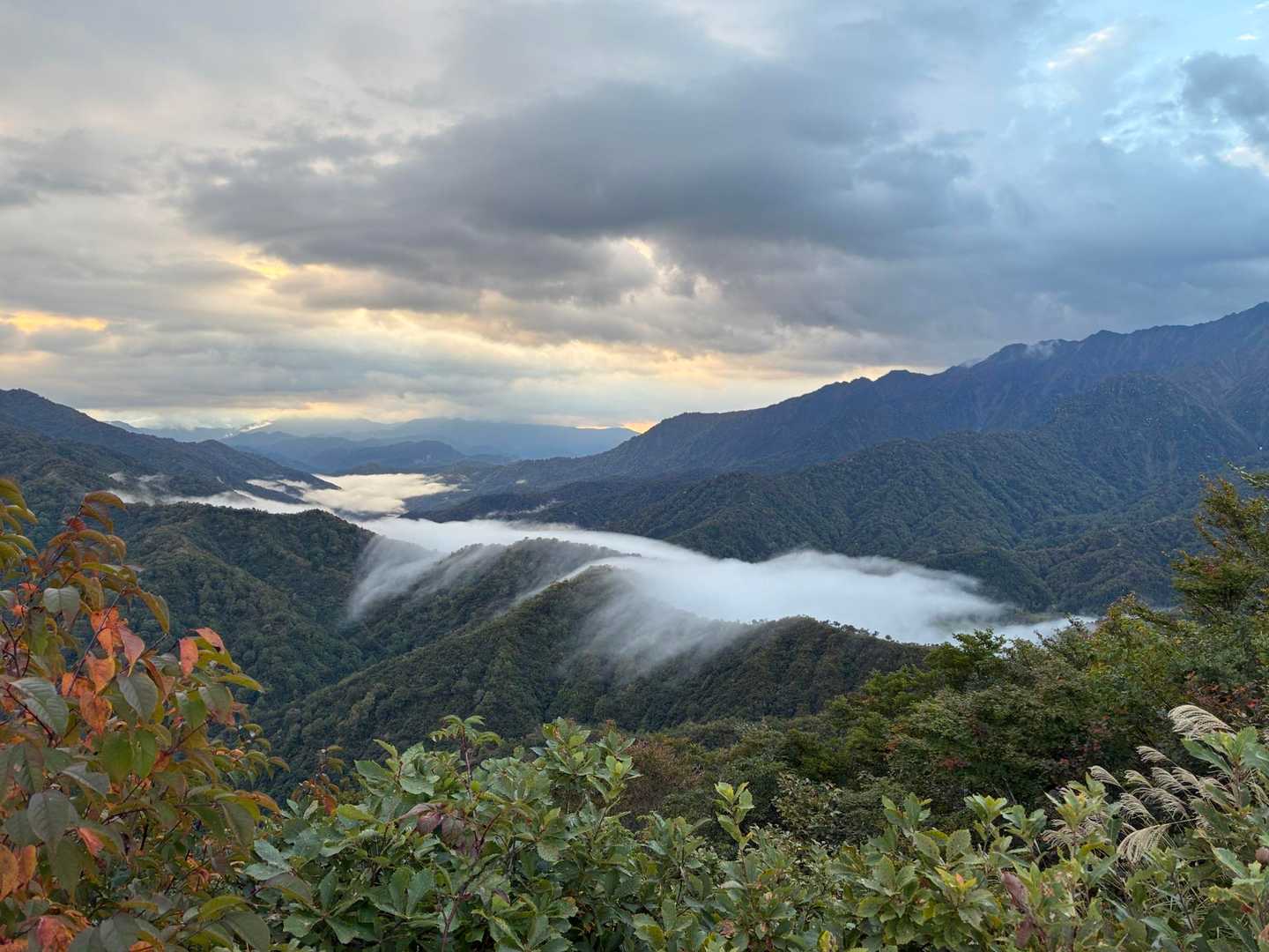 越後駒ヶ岳 往復 | 滝雲が湧く枝折峠から、花や眺望を楽しむ稜線歩きの写真