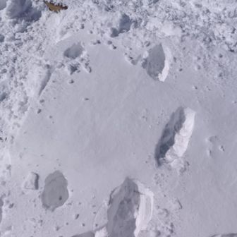 ♪降り始めた雪は足跡消して〜
　（アナ雪の曲）

　晴れているので消えません☀
