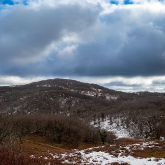 登ってきたときは御池岳の山頂も霧氷だったのですが、すっかり溶けてしまったようです。