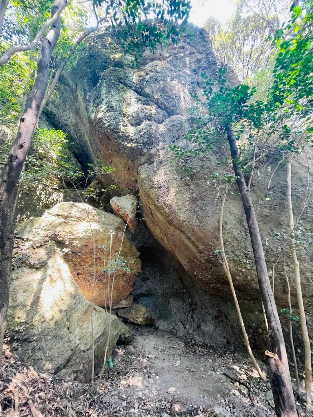 デカすぎる岩🪨