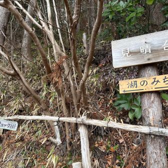 何処の展望台や休憩所にもあったリュック掛け🪾
至れり尽くせり🙏