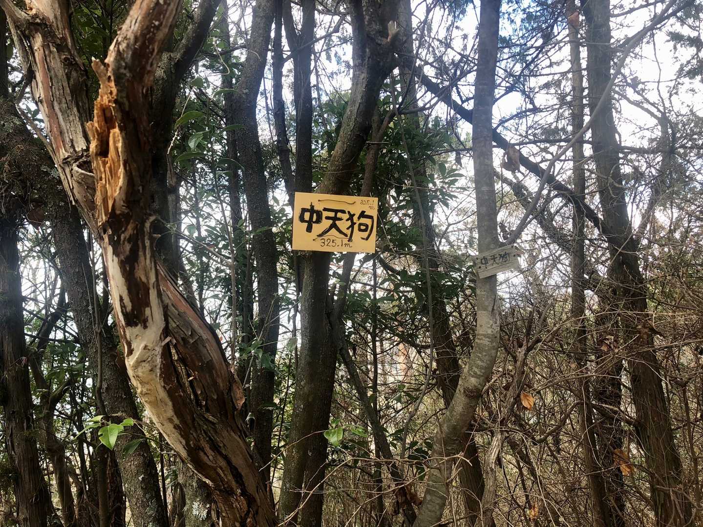 眺望なくて寂しい😭