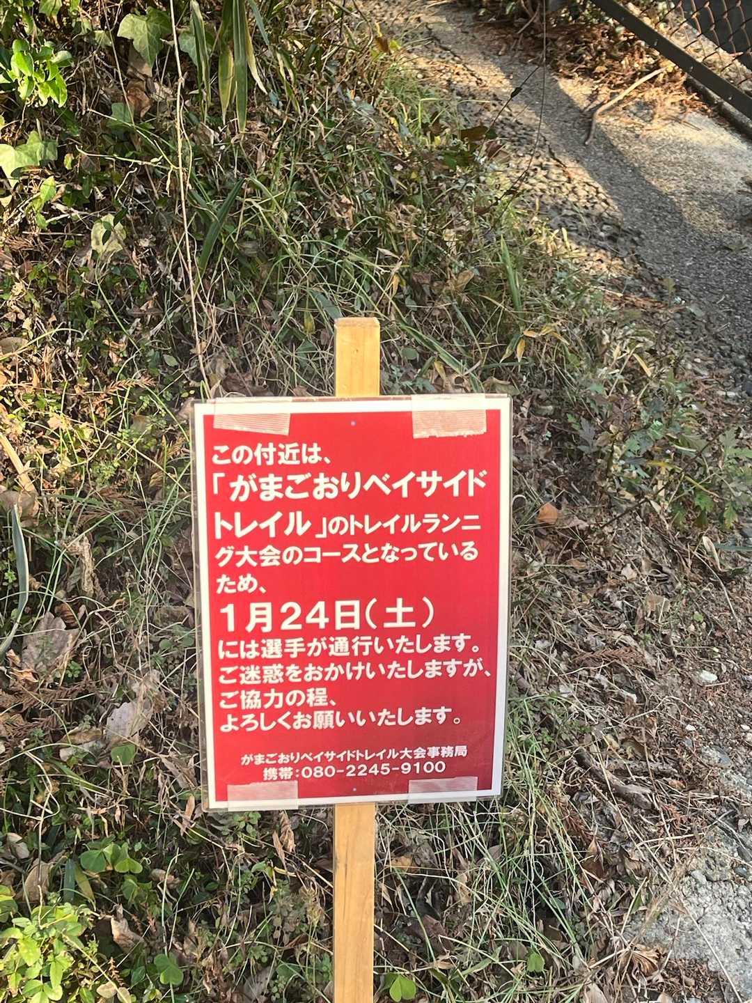 レースの看板が出てました(^^)